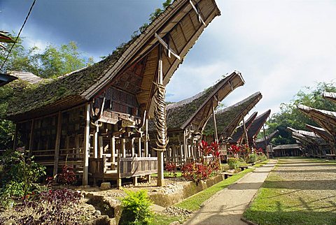 Toraja houses and granaries, Toraja area, Sulawesi, Indonesia, Southeast Asia, Asia