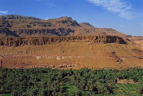 Trees and fields below arid mountains, Tinerhir Palmeries on the way to Todra Gorge, Morocco, North Africa, Africa