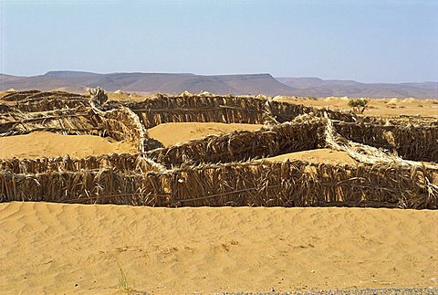 Barriers erected to prevent sand drifting onto road, near Tinejdad, Morocco, North Africa, Africa