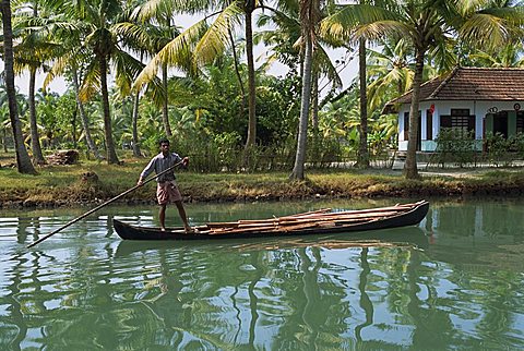 Man with pole pushing boat forwards on a Kerala backwater, a typical scene in an area where canals and rivers are used as roadways, Kerala, India, Asia