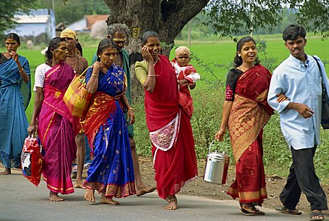 Pilgrims on road to temple, Tamil Nadu state, India, Asia