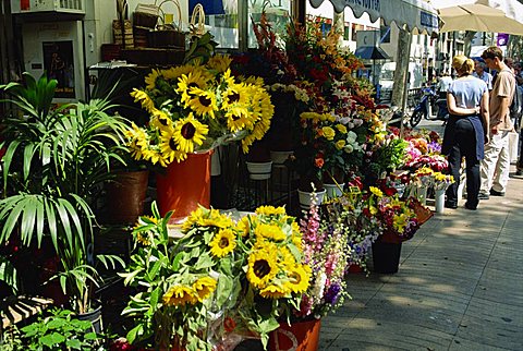 Flower stalls, Las Ramblas, Barcelona, Catalonia, Spain, Europe