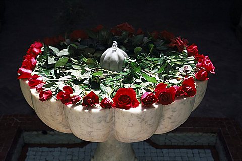 Roses, Villa des Oranjes, small hotel, Marrakech, Morocco, North Africa, Africa