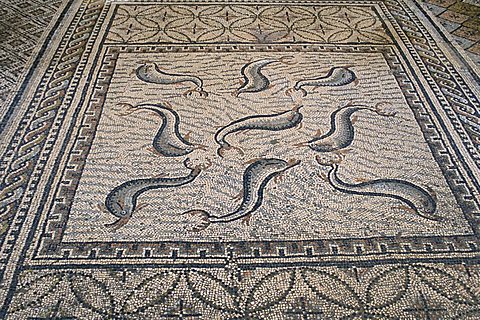 Mosaic floor, Roman archaeological site of Volubilis, UNESCO World Heritage Site, Morocco, North Africa, Africa