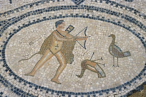 Mosaic floor of hunting scene, Roman archaeological site of Volubilis, UNESCO World Heritage Site, Morocco, North Africa, Africa