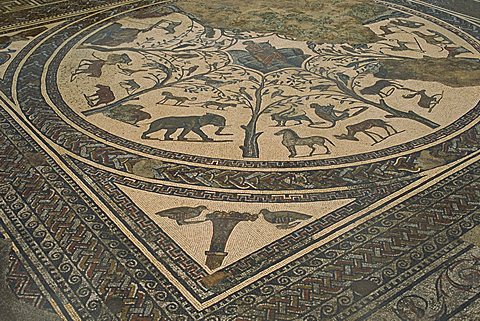 Mosaic floor, Volubilis, UNESCO World Heritage Site, Morocco, North Africa, Africa