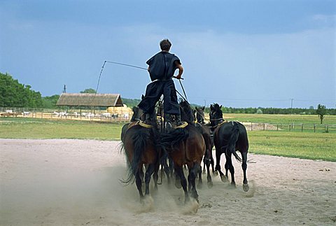 Csikos (cowboys) on horse farm in the Puszta, south of Budapest, Hungary, Europe