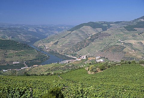 Vineyards near Pinhao, Douro region, Portugal, Europe