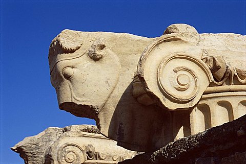 Close-up of carving, archaeological site, Ephesus, Anatolia, Turkey, Asia Minor