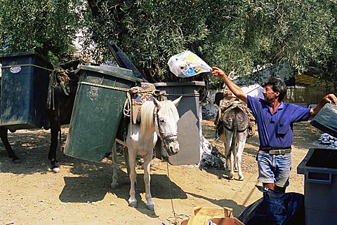 Mule used for collecting rubbish, island of Trikeri, Pelion, Greece, Europe