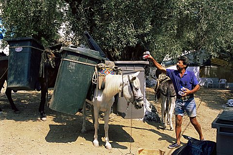 Mule used for collecting rubbish, island of Trikeri, Pelion, Greece, Europe