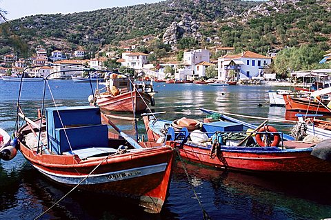 Fishing boats in harbour, Agia Kyriaki, Pelion, Greece, Europe