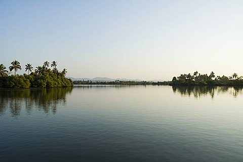 Backwater near Mobor, Goa, India, Asia