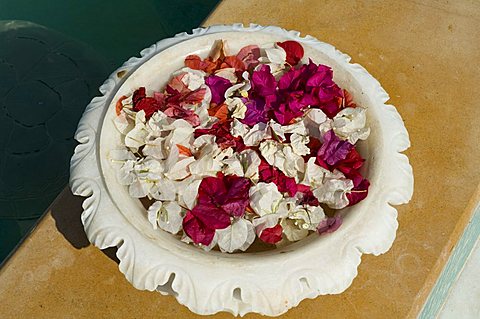 Marble bowl with floating flowers, Udai Vilas Palace, Dungarpur, Rajasthan state, India, Asia