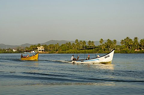 Tourist boats on backwater near Mobor, Goa, India