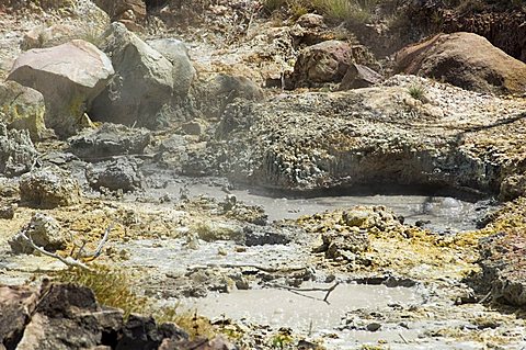 Steaming volcanic mud pools, Rincon de la Vieja National Park at foot of Rincon Volcano, Guanacaste, Costa Rica, Central America