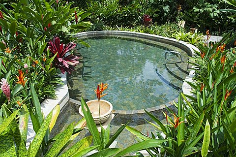 Tabacon Hot Springs, volcanic hot springs fed from the Arenal Volcano, Arenal, Costa Rica, Central America