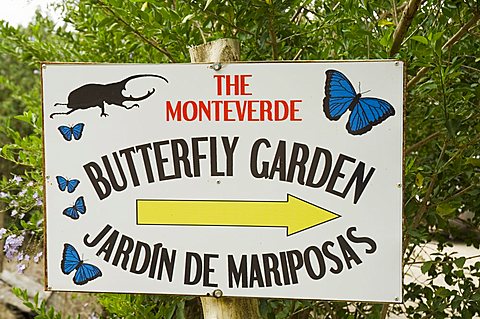 Butterfly Park, Monteverde, Costa Rica, Central America