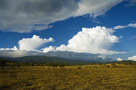 Clouds over the Rincon Volcano, near Rincon de la Vieja National Park, Guanacaste, Costa Rica, Central America