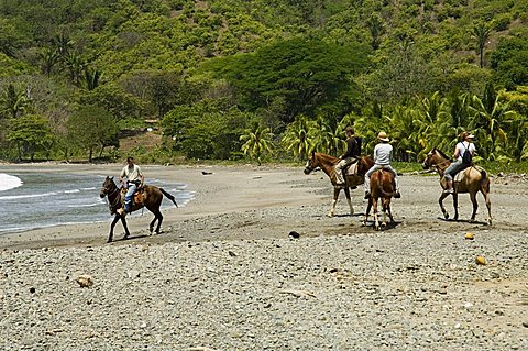 Horses on beach at Punta Islita, Nicoya Pennisula, Pacific Coast, Costa Rica, Central America