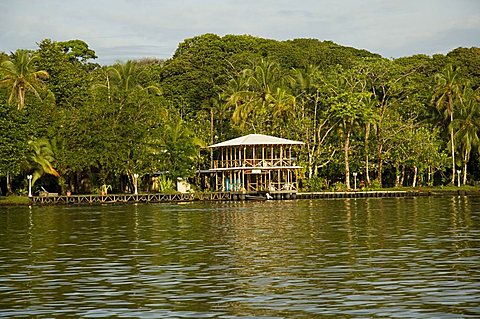 Tortuguero, Costa Rica, Central America