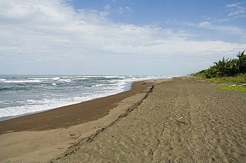 Tortuguero Beach, Caribbean Coast, Tortuguero National Park, Costa Rica, Central America