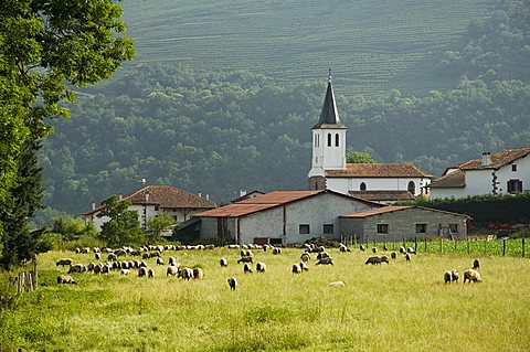 Countryside near St. Jean Pied de Port, Basque country, Pyrenees-Atlantiques, Aquitaine, France, Europe