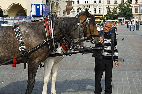 Horse and carriage in Main Market Square (Rynek Glowny), Old Town District (Stare Miasto), Krakow (Cracow), Poland, Europe