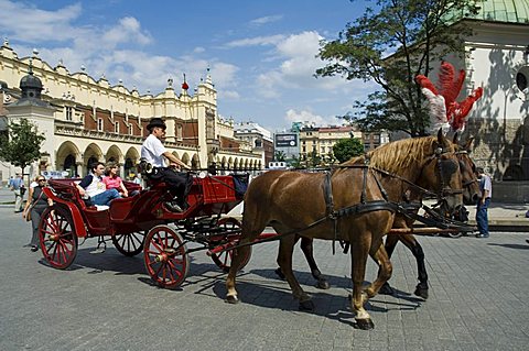 Horse and carriages in Main Market Square (Rynek Glowny), Old Town District (Stare Miasto), Krakow (Cracow), UNESCO World Heritage Site, Poland, Europe