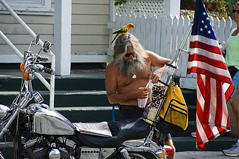 Motorcyclist with bird on head, Duval Street, Key West, Florida, United States of America, North America