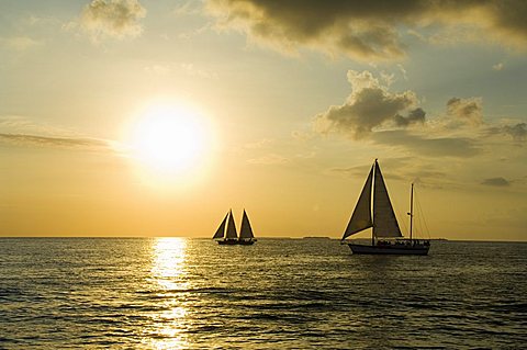 Sailboats at sunset, Key West, Florida, United States of America, North America