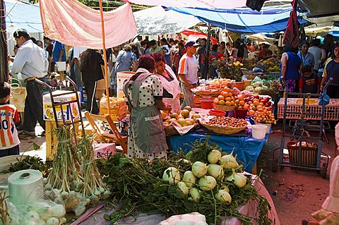 Market day at Zaachila, Oaxaca, Mexico, North America