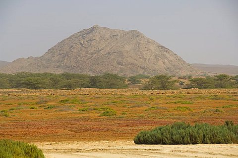 Landscape near Praia de Santa Monica (Santa Monica Beach), Boa Vista, Cape Verde Islands, Africa