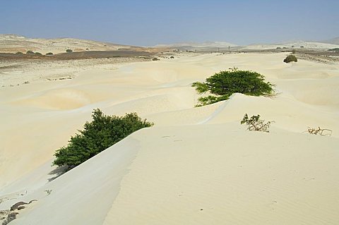 Desert and sand dunes in the middle of the island of Boa Vista, Cape Verde Islands, Africa