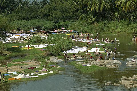 Washing drying, Kerala state, India, Asia