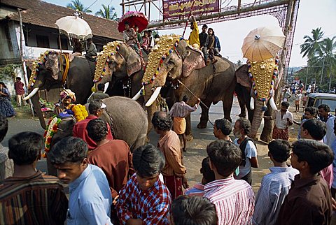 Crowds watch elephants in town in Kerala state, India, Asia