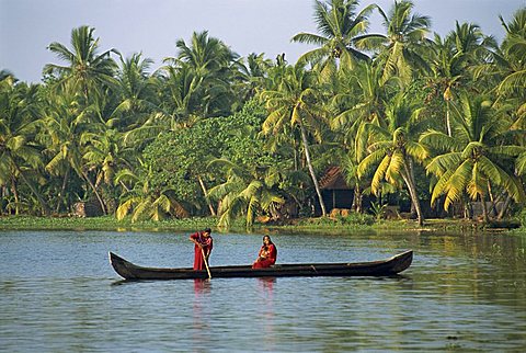 Backwater, Kerala state, India, Asia