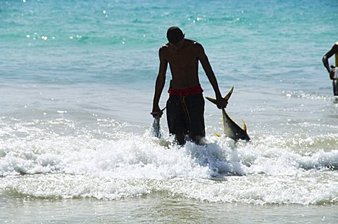 Fisherman bringing catch onto beach at Santa Maria on the island of Sal (Salt), Cape Verde Islands, Africa