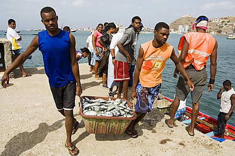 At the fish market, Mindelo, Sao Vicente, Cape Verde Islands, Africa