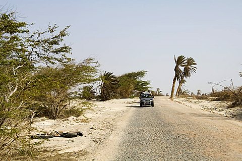 Boa Vista, Cape Verde Islands, Africa