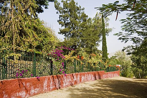 The National Botanical Garden at Sao Jorge dos Orgaos, Santiago, Cape Verde Islands, Africa