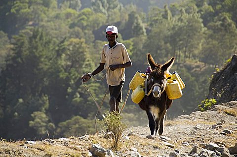 Donkey carrying water, Santo Antao, Cape Verde Islands, Africa