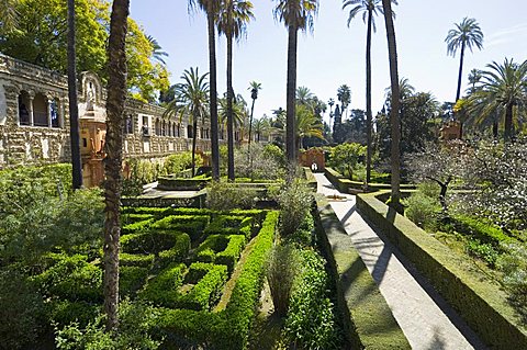 The gardens of the Real Alcazar, Santa Cruz district, Seville, Andalusia (Andalucia), Spain, Europe