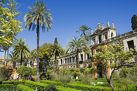 The gardens of the Real Alcazar, UNESCO World Heritage Site, Santa Cruz district, Seville, Andalusia (Andalucia), Spain, Europe