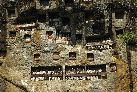 Lemo cliff tombs, Toraja area, Sulawesi, Indonesia, Southeast Asia, Asia