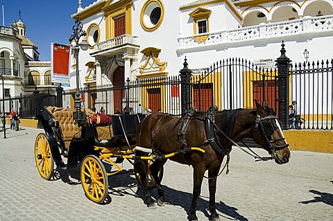 Entrance to the bull ring, Plaza de Toros de la Maestranza, El Arenal district, Seville, Andalusia, Spain, Europe