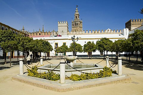 Plaza just outside the exit to the Real Alcazar with La Giralda in background, Santa Cruz district, Seville, Andalusia (Andalucia), Spain, Europe