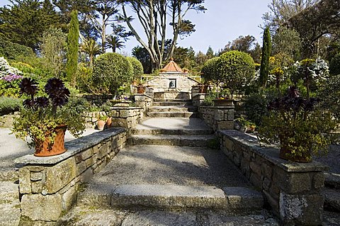 The Abbey Gardens, Tresco, Isles of Scilly, off Cornwall, United Kingdom, Europe