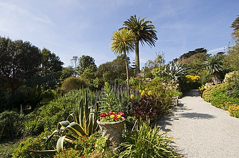 The Abbey Gardens, Tresco, Isles of Scilly, off Cornwall, United Kingdom, Europe