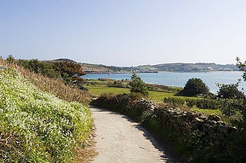 Bryer (Bryher), Isles of Scilly, off Cornwall, United Kingdom, Europe